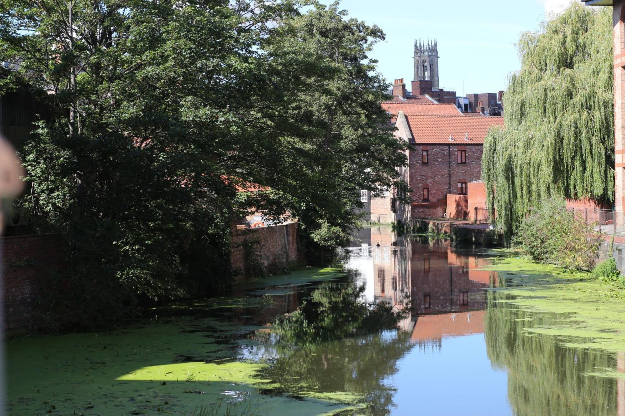 Chocolets - The Foss York
